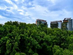 Hyll On Holland (D10), Condominium #574211351